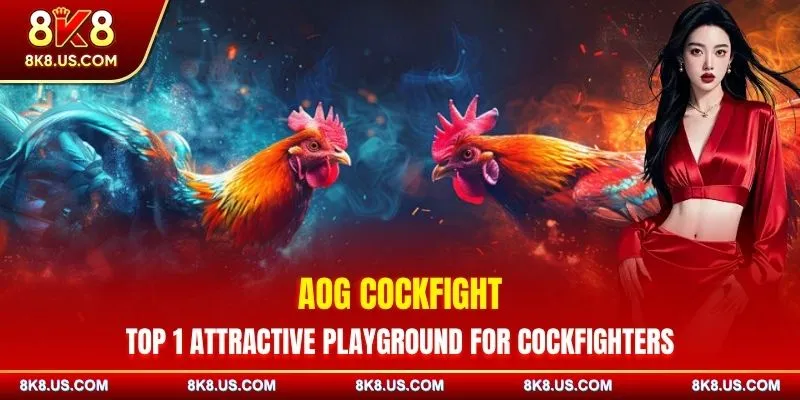 AOG Cockfight - Top 1 Attractive Playground For Cockfighters
