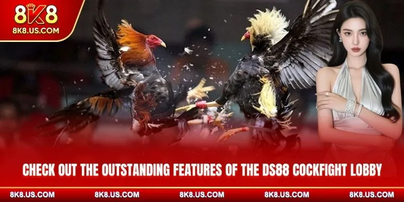 Check out the outstanding features of the DS88 Cockfight lobby