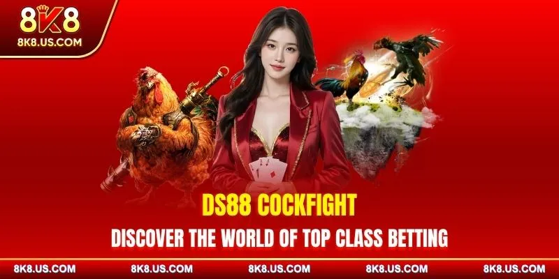 DS88 Cockfight - Discover The World Of Top Class Betting