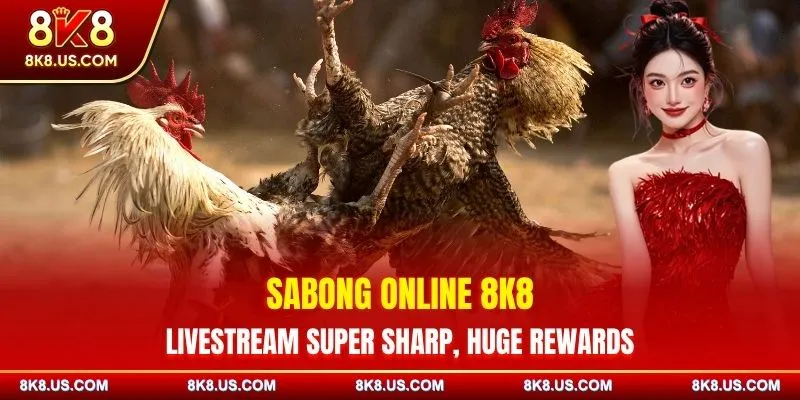 Sabong Online 8K8 - Livestream Super Sharp, Huge Rewards