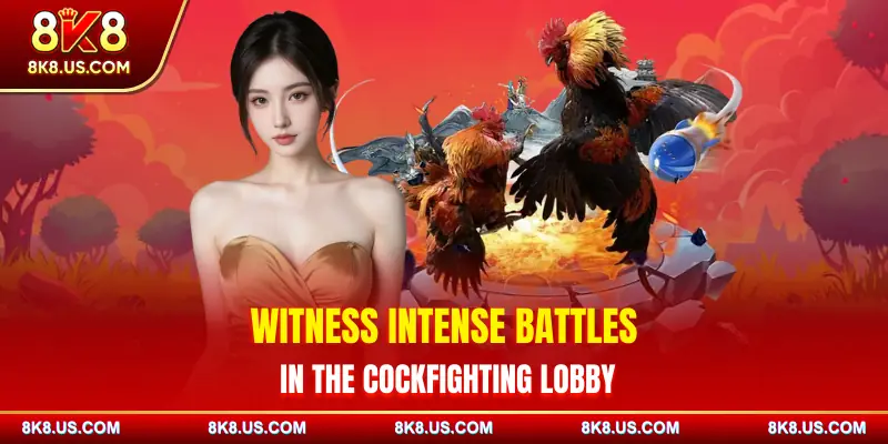 8k8-cockfighting